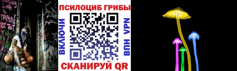 Псилоцибиновые грибы GOLDEN TEACHER  Великий Устюг 