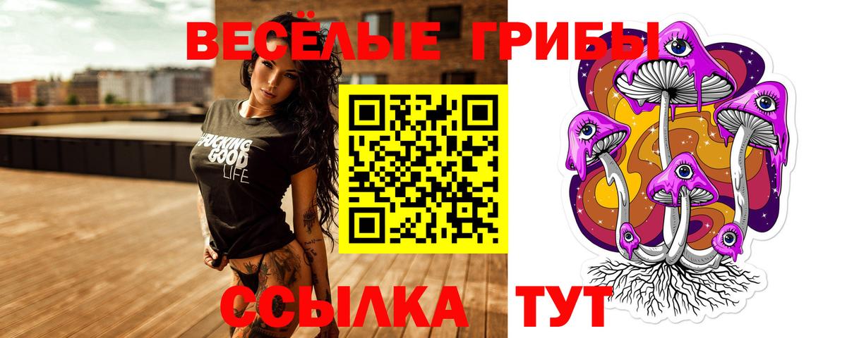 Галлюциногенные грибы Psilocybe Великий Устюг