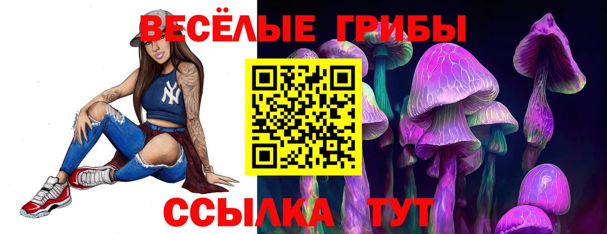 Псилоцибиновые грибы MAGIC MUSHROOMS  Псилоцибиновые грибы Psilocybe  Великий Устюг 