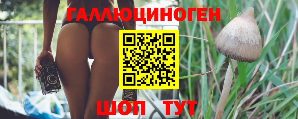 Великий Устюг  Псилоцибиновые грибы MAGIC MUSHROOMS  Вход с VPN 